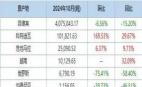 2024年10月全國進(jìn)口鎳礦分國別統(tǒng)計(jì)